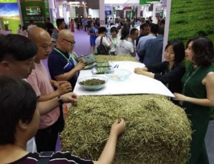 Spanish Association of Manufacturers of Dehydrated Alfalfa