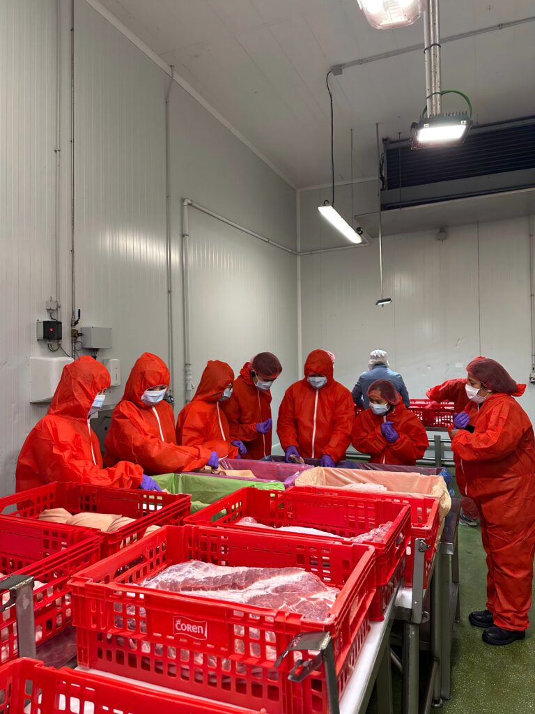 EU Pork Study Trip: Vietnamese Professionals Explore European Pork Industry 9 Study trip 3